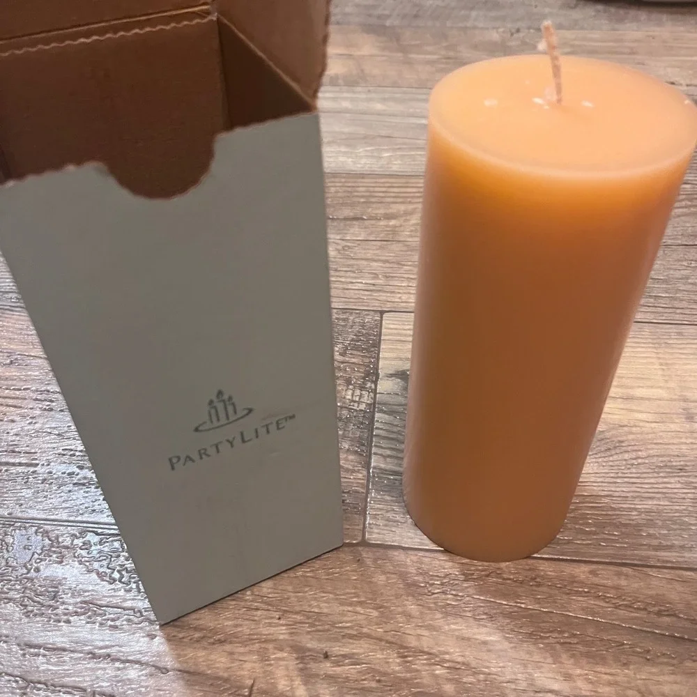PartyLite Ginger Pumpkin 3x7 Pillar Candle Orange Autumn Decor C37401‎
